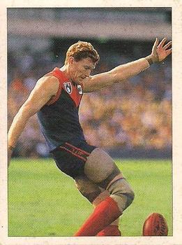 1992 Select AFL Stickers #201 Steven O’Dwyer Front